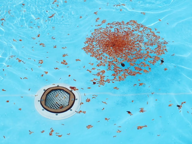 Accesorios clave para proteger y limpiar tu piscina en invierno